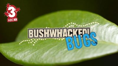 watch-Bushwhacked Bugs! (2016)
