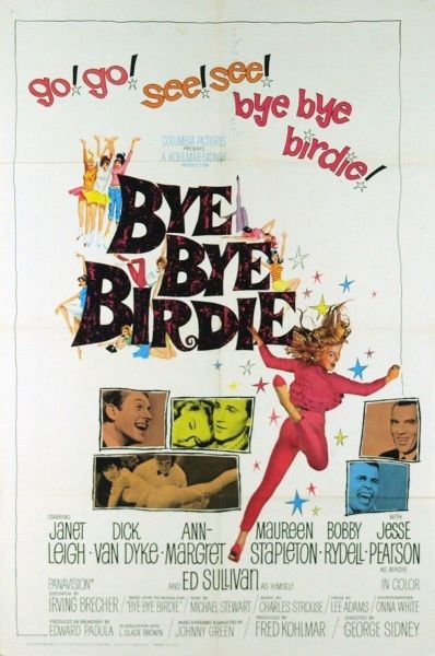 watch-Bye Bye Birdie (1963)