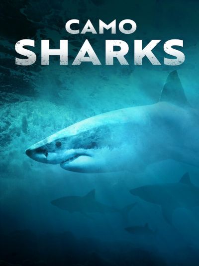 watch-Camo Sharks (2022)