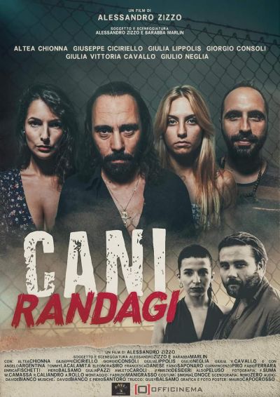 watch-Cani randagi (2024)