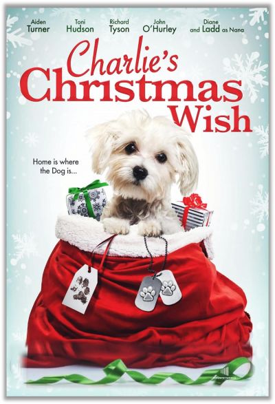 watch-Charlie's Christmas Wish (2021)