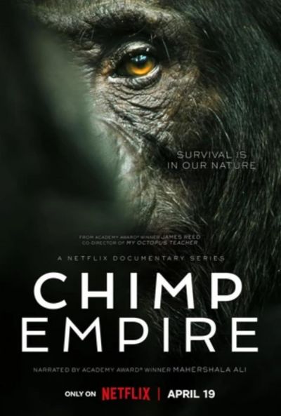 watch-Chimp Empire (2023)