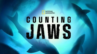 watch-Counting Jaws (2022)