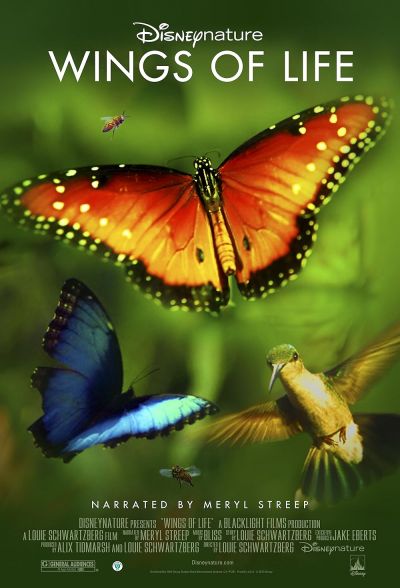 watch-Disneynature: Wings of Life (2013)