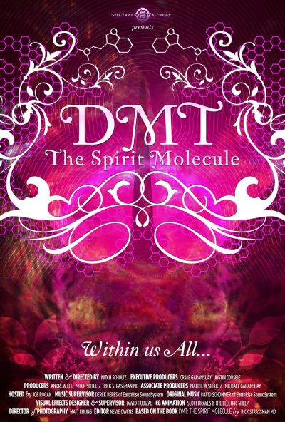 watch-DMT: The Spirit Molecule (2014)