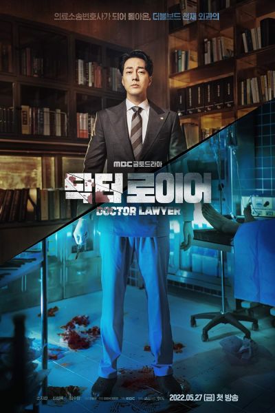watch-Doctor Lawyer (2022)