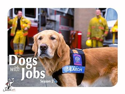 watch-Dogs with Jobs (2000)