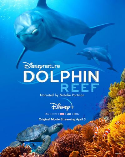watch-Dolphin Reef (2020)
