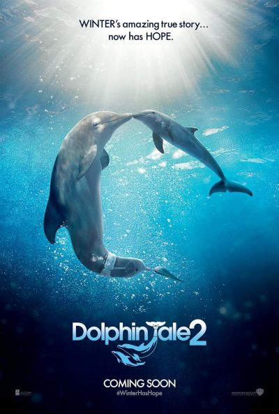 watch-Dolphin Tale 2 (2014)