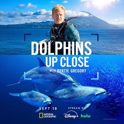 watch-Dolphins Up Close with Bertie Gregory (2025)