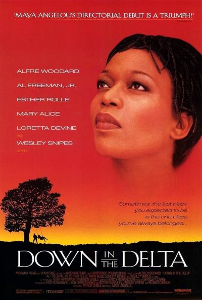 watch-Down in the Delta (1998)