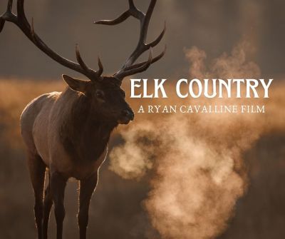 watch-Elk Country (2025)