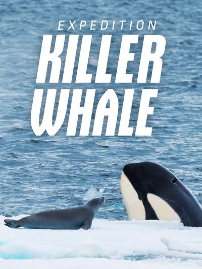 watch-Expedition Killer Whale (2024)