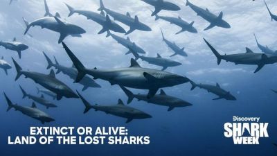 watch-Extinct or Alive: Land of the Lost Sharks (2020)