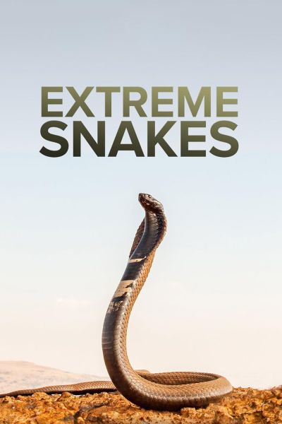 watch-Extreme Snakes (2023)