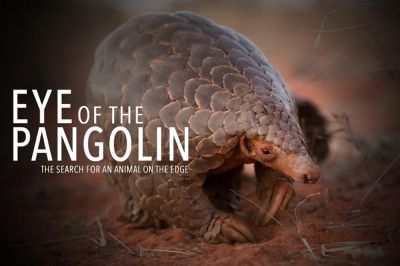 watch-Eye of the Pangolin (2019)