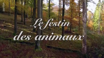 watch-Feast of the Animals (2020)