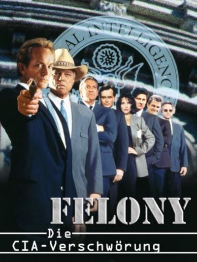 watch-Felony (1994)