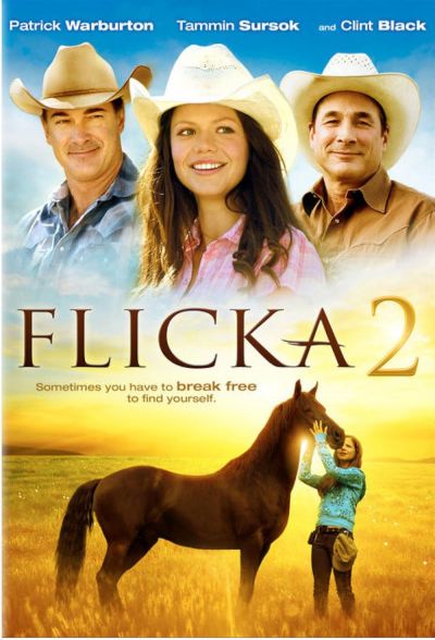 watch-Flicka 2 (2010)