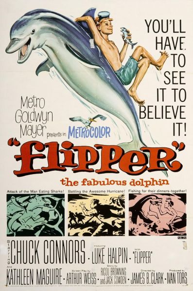 watch-Flipper (1963)