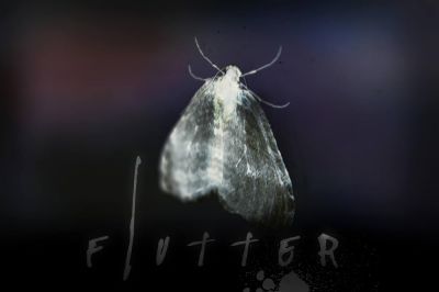 watch-Flutter (2015)