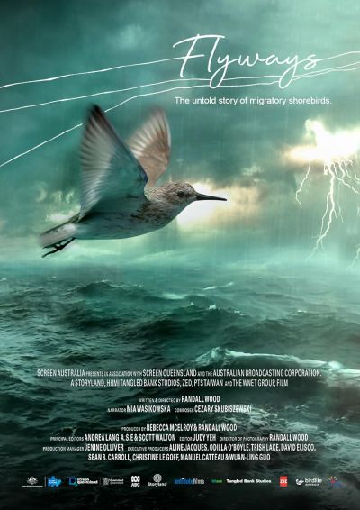 watch-Flyways (2023)