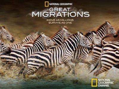watch-Great Migrations (2010)