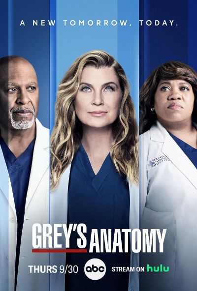 watch-Grey's Anatomy (2005)