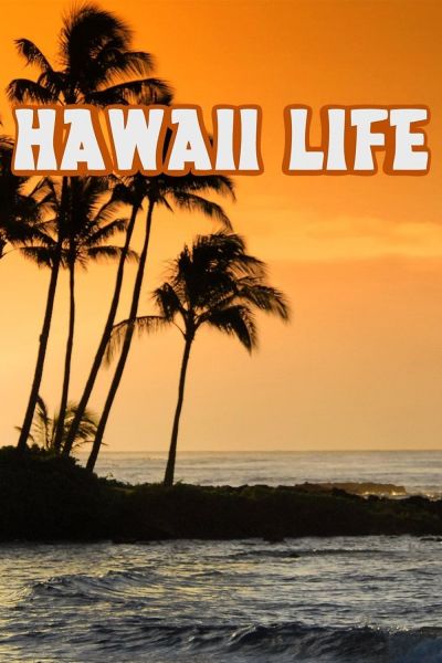 watch-Hawaii Life (2013)