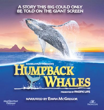 watch-Humpback Whales (2015)