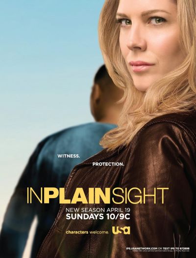watch-In Plain Sight (2008)