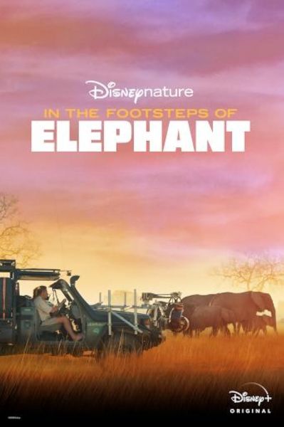 watch-In the Footsteps of Elephant (2020)