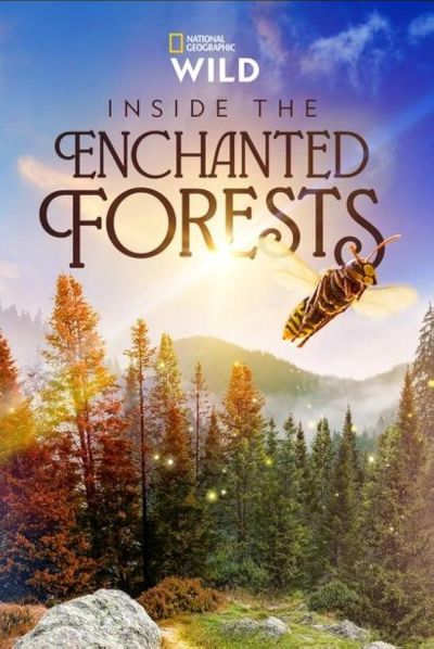watch-Inside the Enchanted Forests (2024)