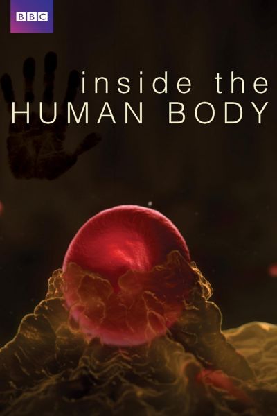 watch-Inside the Human Body (2011)