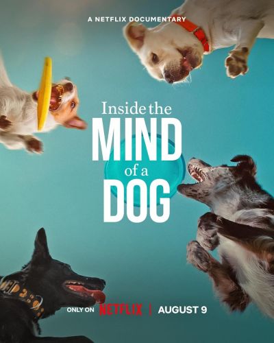 watch-Inside the Mind of a Dog (2024)