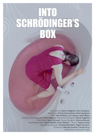 watch-Into Schrodinger's Box (2021)