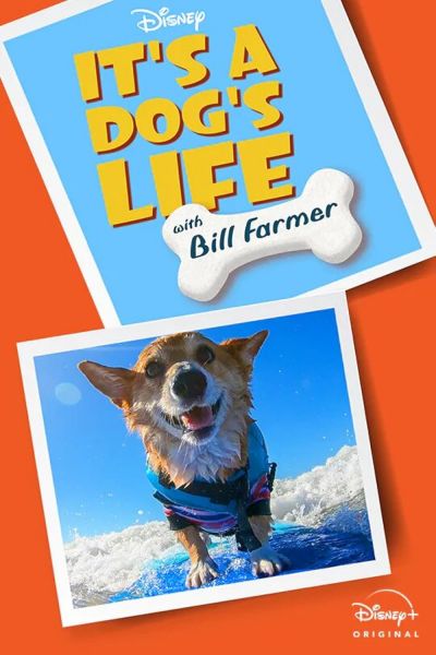 watch-It's A Dog's Life (2020)