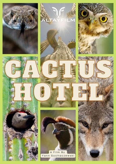 watch-Kaktus Hotel (2023)