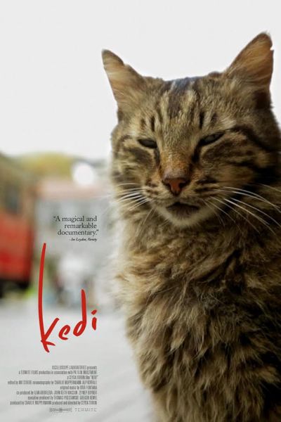 watch-Kedi (2017)