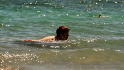watch-Killer Sharks: The Attacks of Black December (2011)