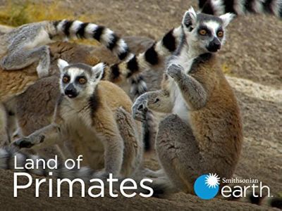 watch-Land of Primates (2016)