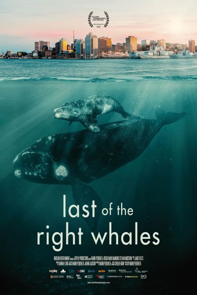 watch-Last of the Right Whales (2021)