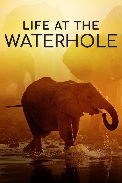 watch-Life at the Waterhole (2021)