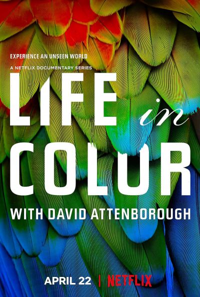 watch-Life in Colour (2021)