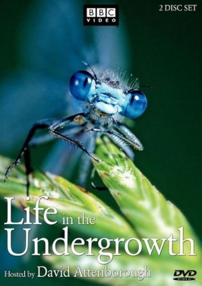 watch-Life in the Undergrowth (2005)