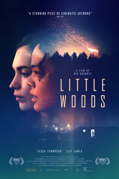 watch-Little Woods (2019)