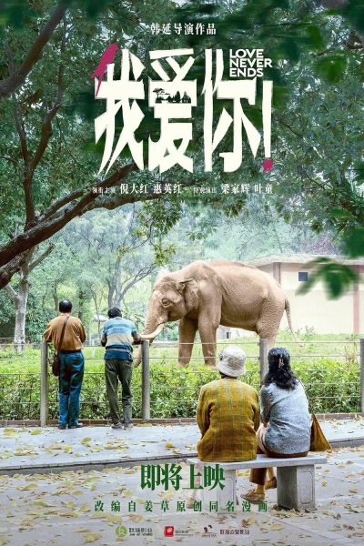 watch-Love Never Ends (2023)