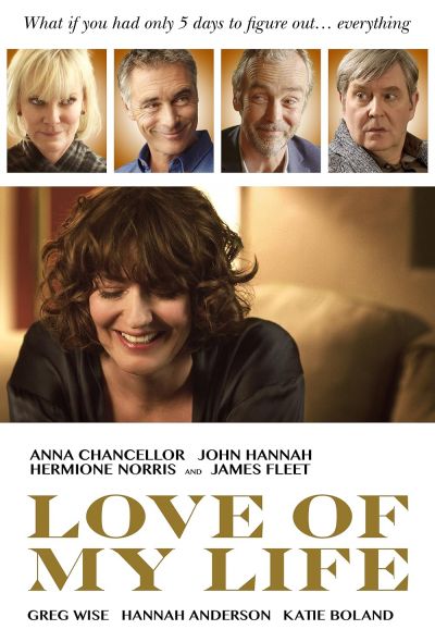 watch-Love of My Life (2017)