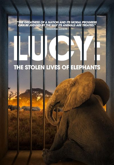 watch-Lucy: The Stolen Lives of Elephants (2025)