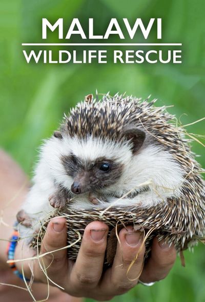 watch-Malawi Wildlife Rescue (2019)